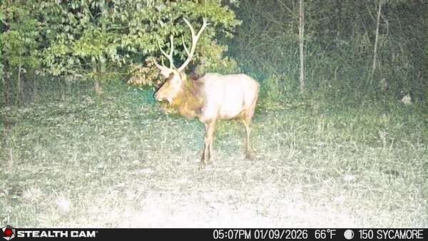 150 Acres of Recreational Land for Sale in Van Lear, Kentucky