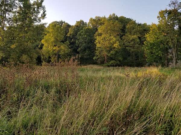 0.45 Acres of Residential Land for Sale in Onsted, Michigan