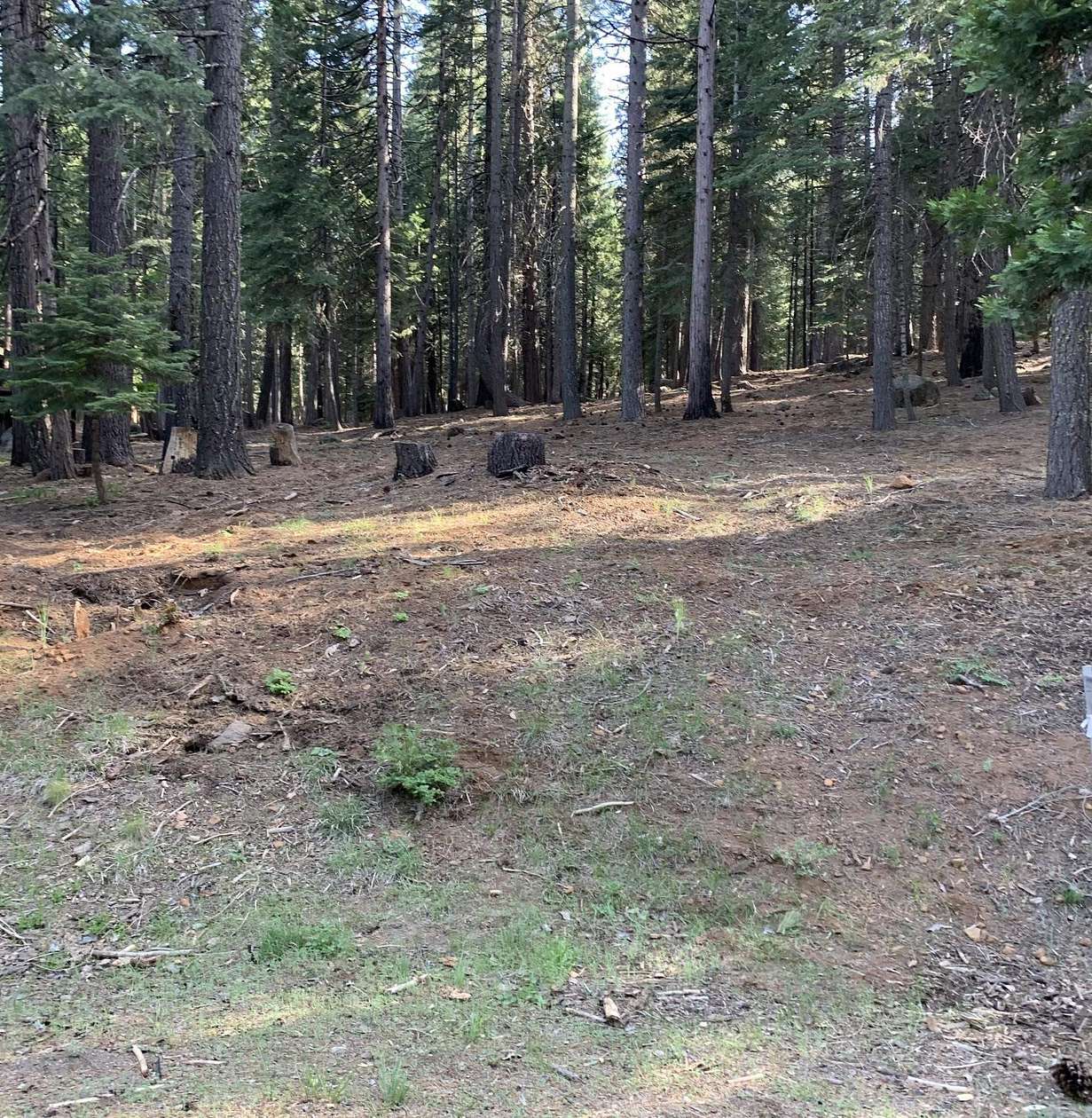 0.52 Acres of Residential Land for Sale in Chester, California