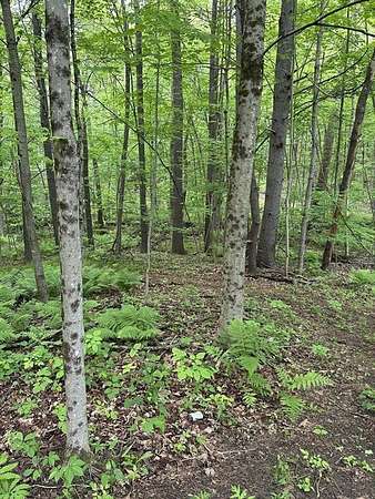 19.5 Acres of Land for Sale in Royalston, Massachusetts