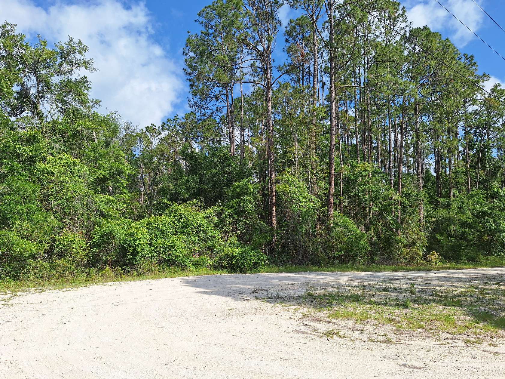 10 Acres of Land for Sale in Old Town, Florida