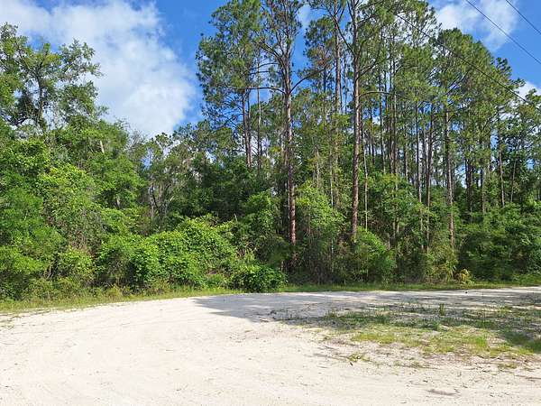 10 Acres of Land for Sale in Old Town, Florida