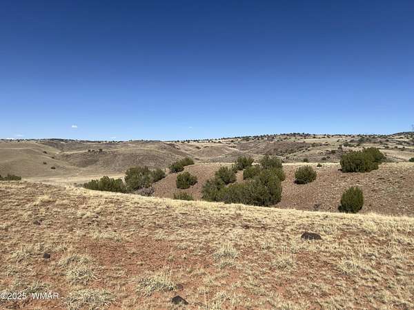 40 Acres of Recreational & Residential Land for Sale in Concho, Arizona