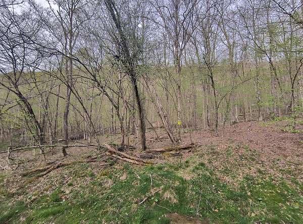 5.26 Acres of Land for Sale in Roscoe, New York