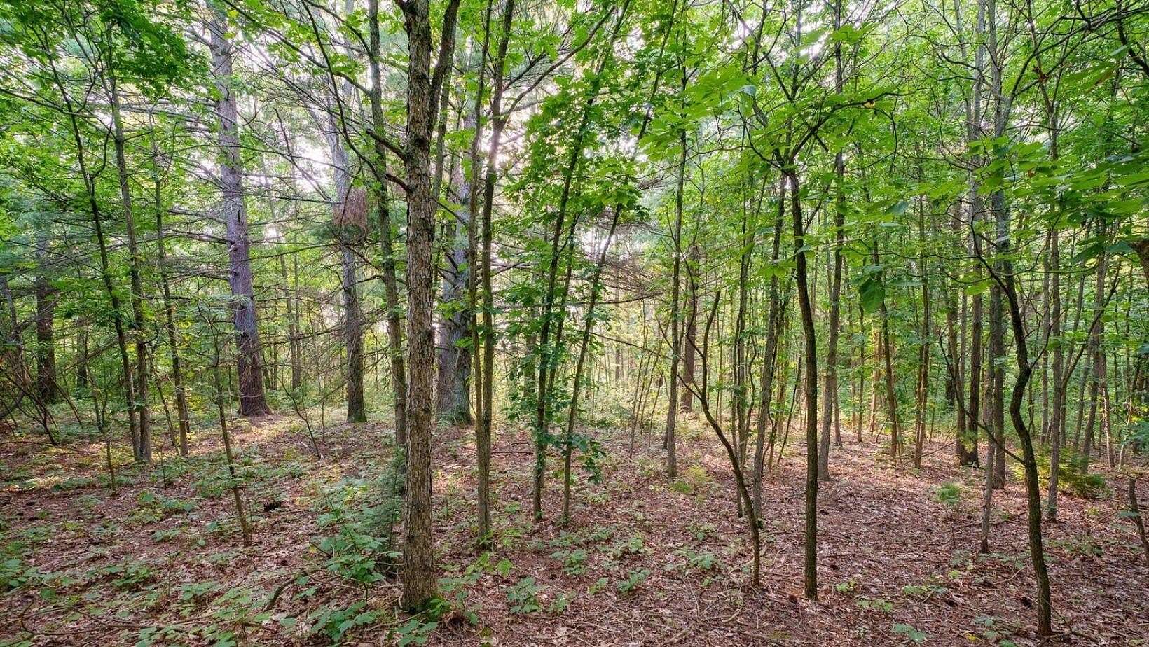 2.12 Acres of Residential Land for Sale in West Olive, Michigan