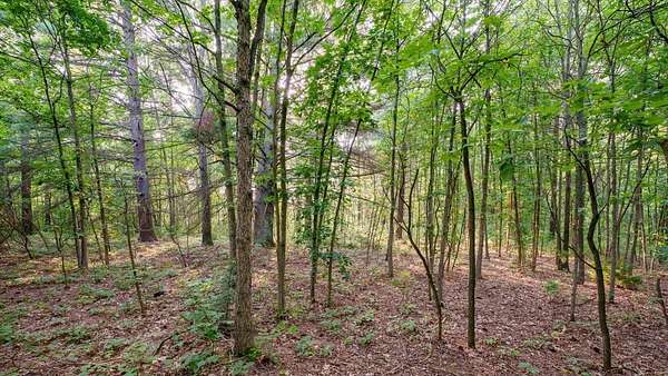 2.12 Acres of Residential Land for Sale in West Olive, Michigan