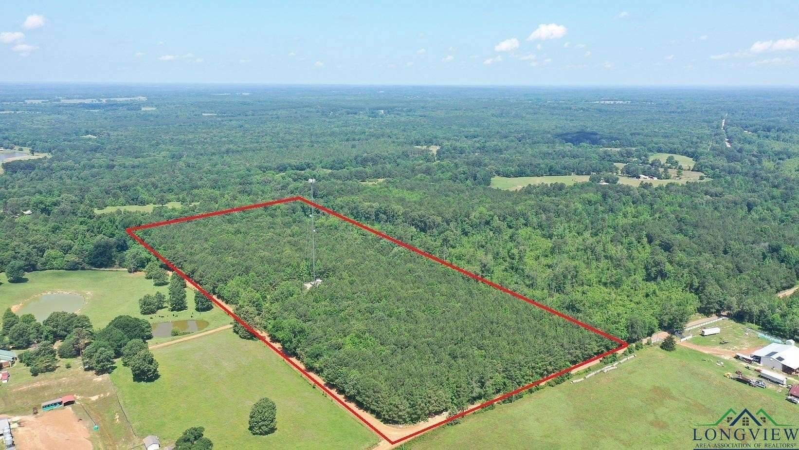24.4 Acres of Recreational Land for Sale in Linden, Texas