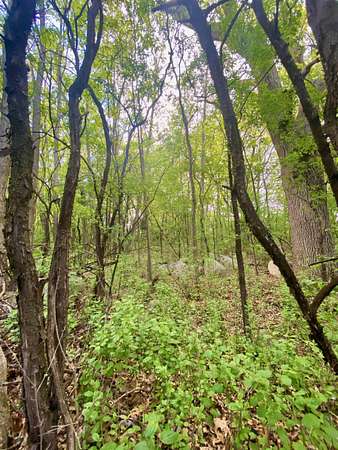 1 Acre of Residential Land for Sale in Weyauwega, Wisconsin
