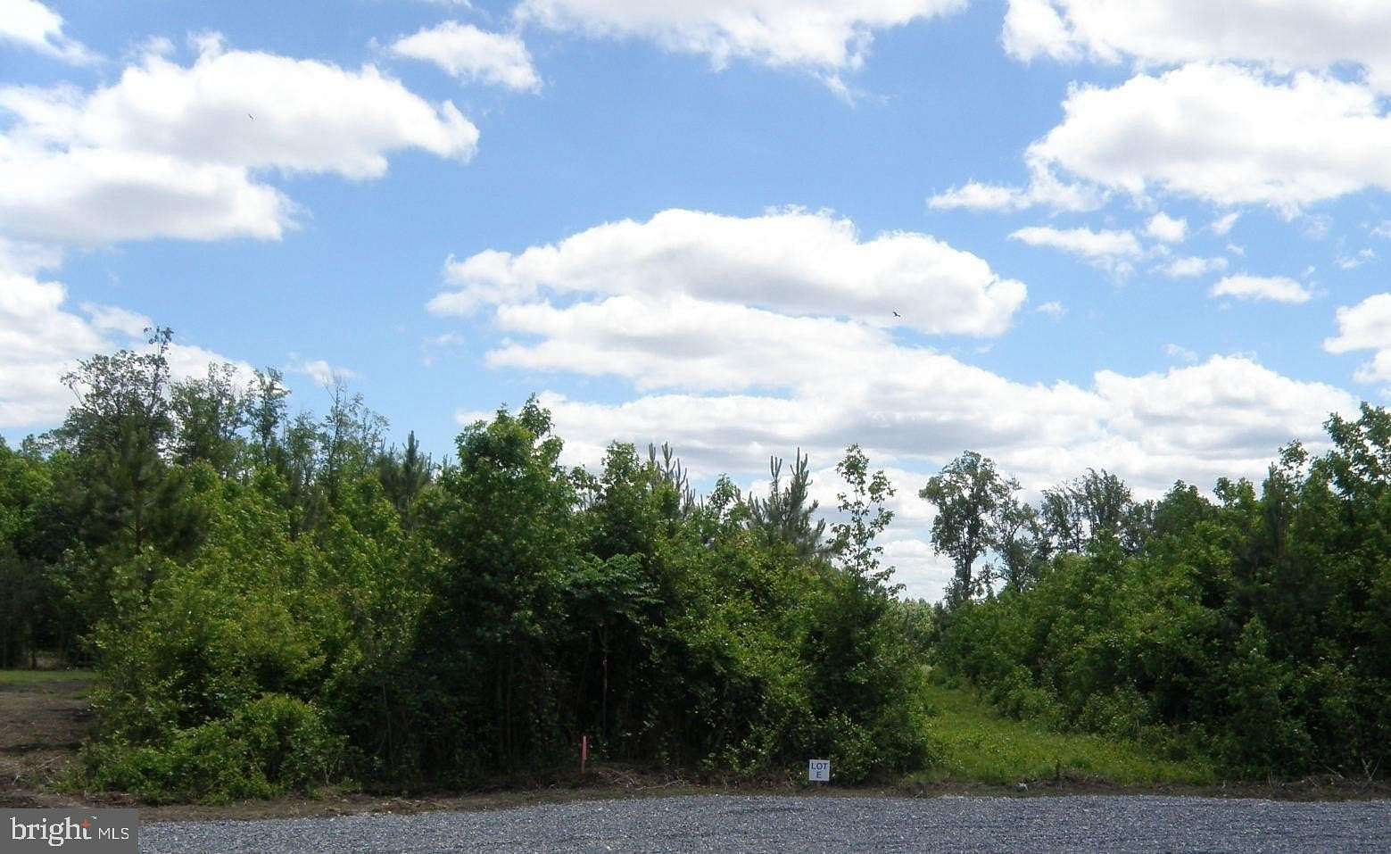 11.3 Acres of Land for Sale in Georgetown, Delaware