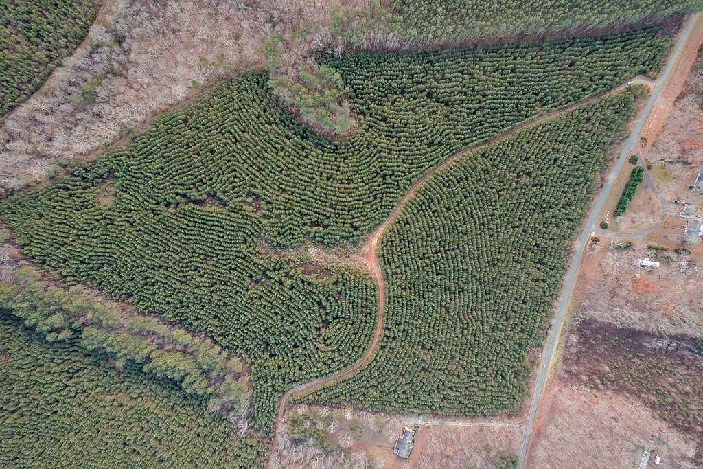 164 Acres of Land for Sale in Dillwyn, Virginia