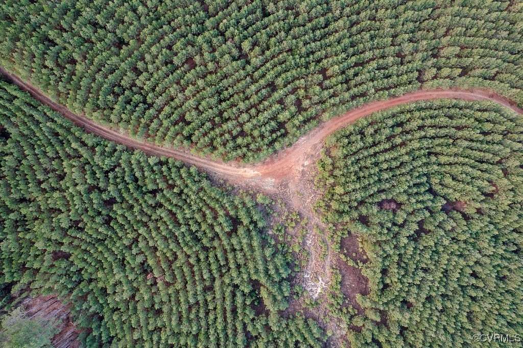 164 Acres of Recreational & Residential Land for Sale in Dillwyn, Virginia