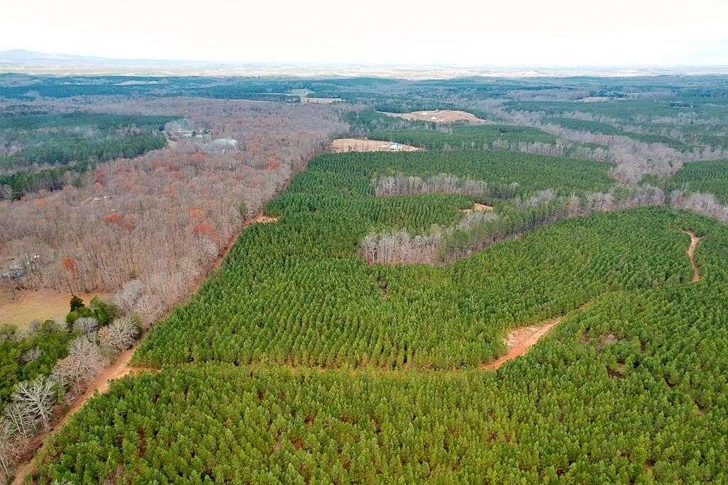 164 Acres of Land for Sale in Dillwyn, Virginia