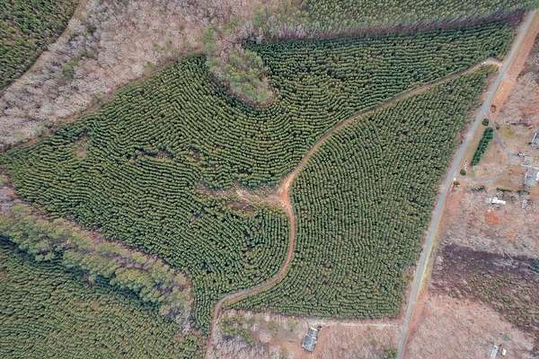 164 Acres of Land for Sale in Dillwyn, Virginia