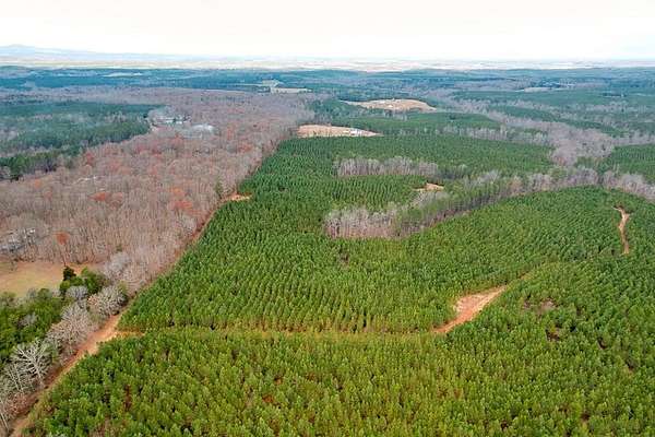 164 Acres of Land for Sale in Dillwyn, Virginia