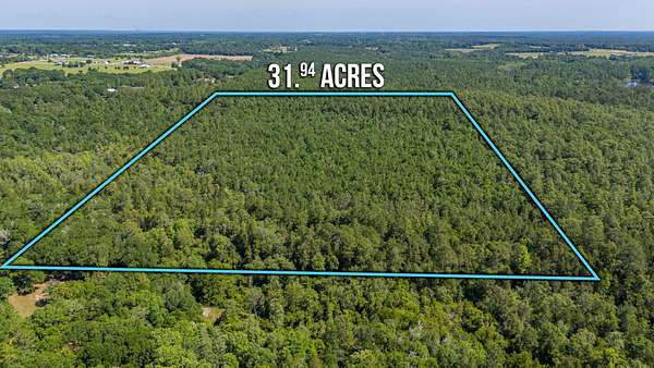 32 Acres of Recreational Land for Sale in Baker, Florida