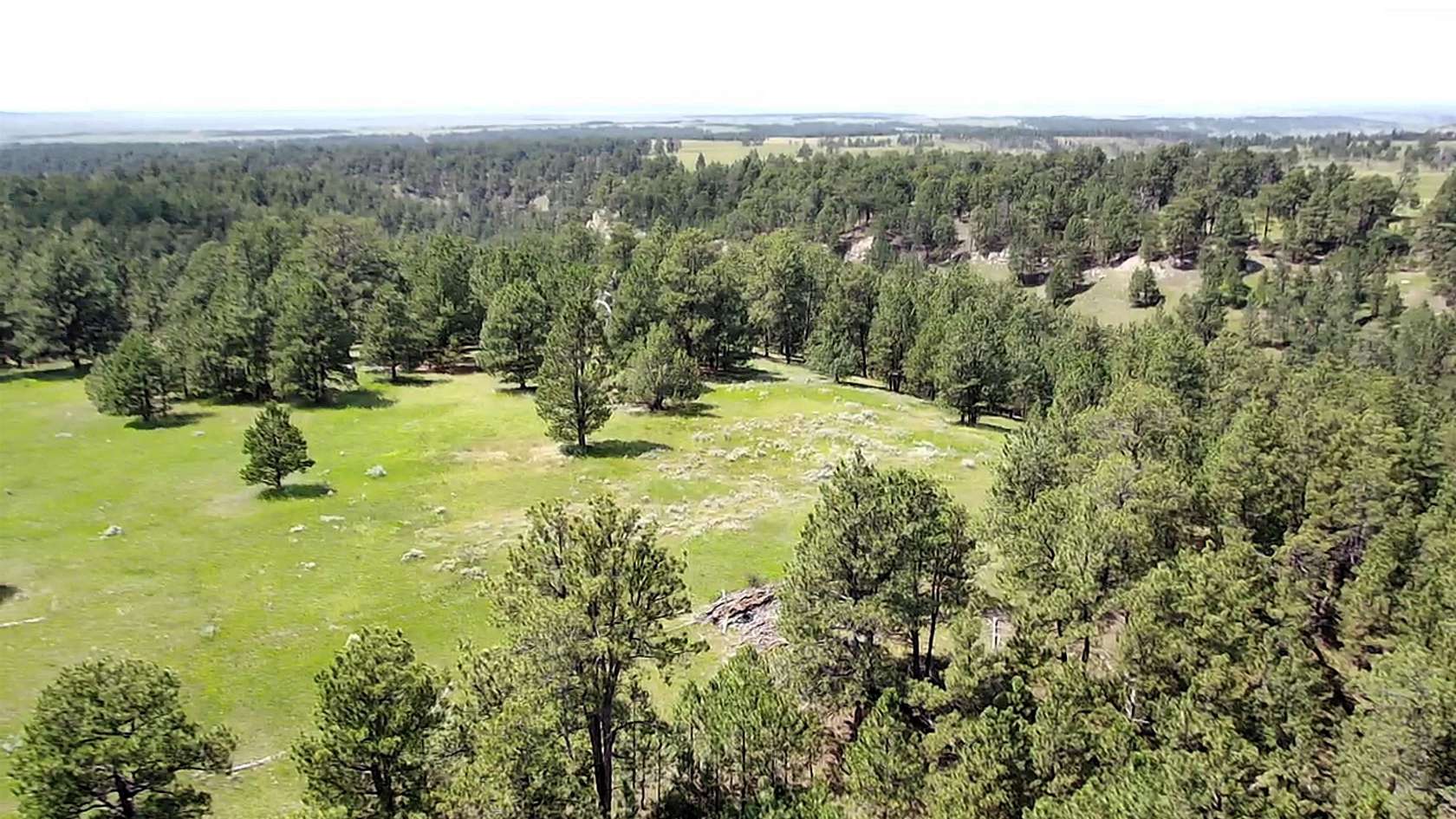 35 Acres of Recreational Land for Sale in Sundance, Wyoming