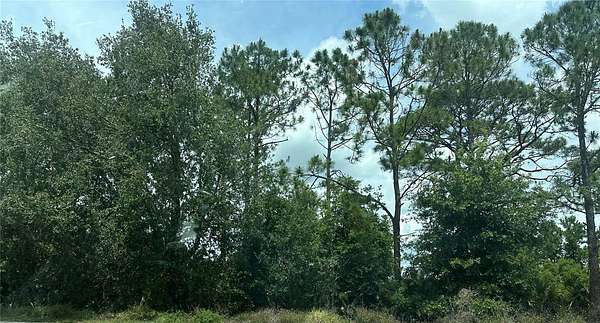 1.19 Acres of Land for Sale in Orlando, Florida