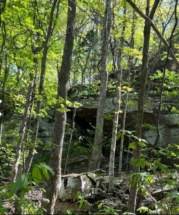 95.4 Acres of Recreational Land & Farm for Sale in Cookeville, Tennessee