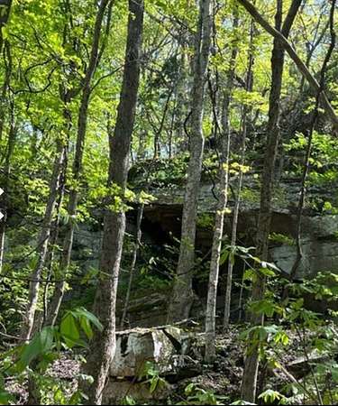 95.4 Acres of Recreational Land & Farm for Sale in Cookeville, Tennessee