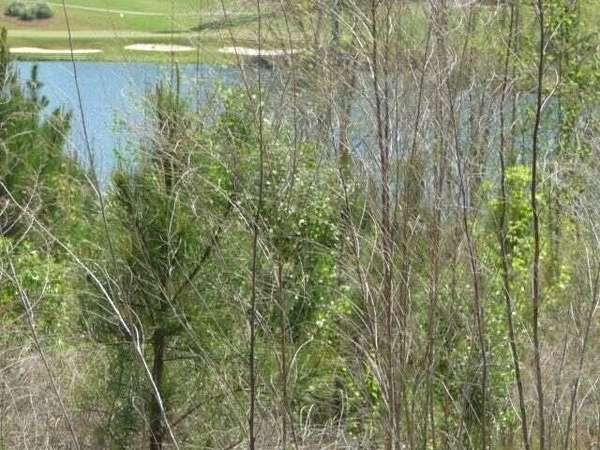 0.67 Acres of Residential Land for Sale in Aiken, South Carolina