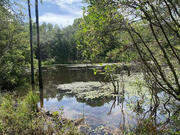 20.5 Acres of Recreational Land for Sale in Baker, Florida