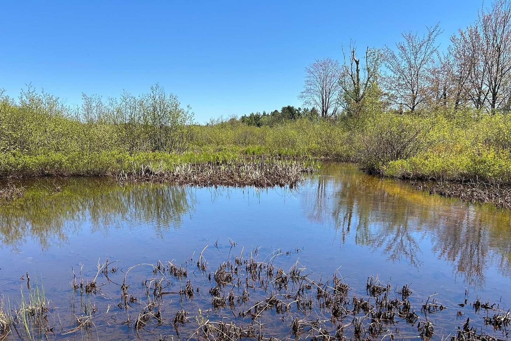 0.6 Acres of Residential Land for Sale in Trout Lake, Michigan