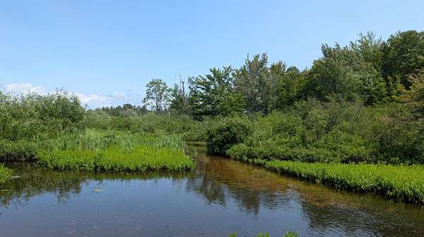 0.6 Acres of Residential Land for Sale in Trout Lake, Michigan