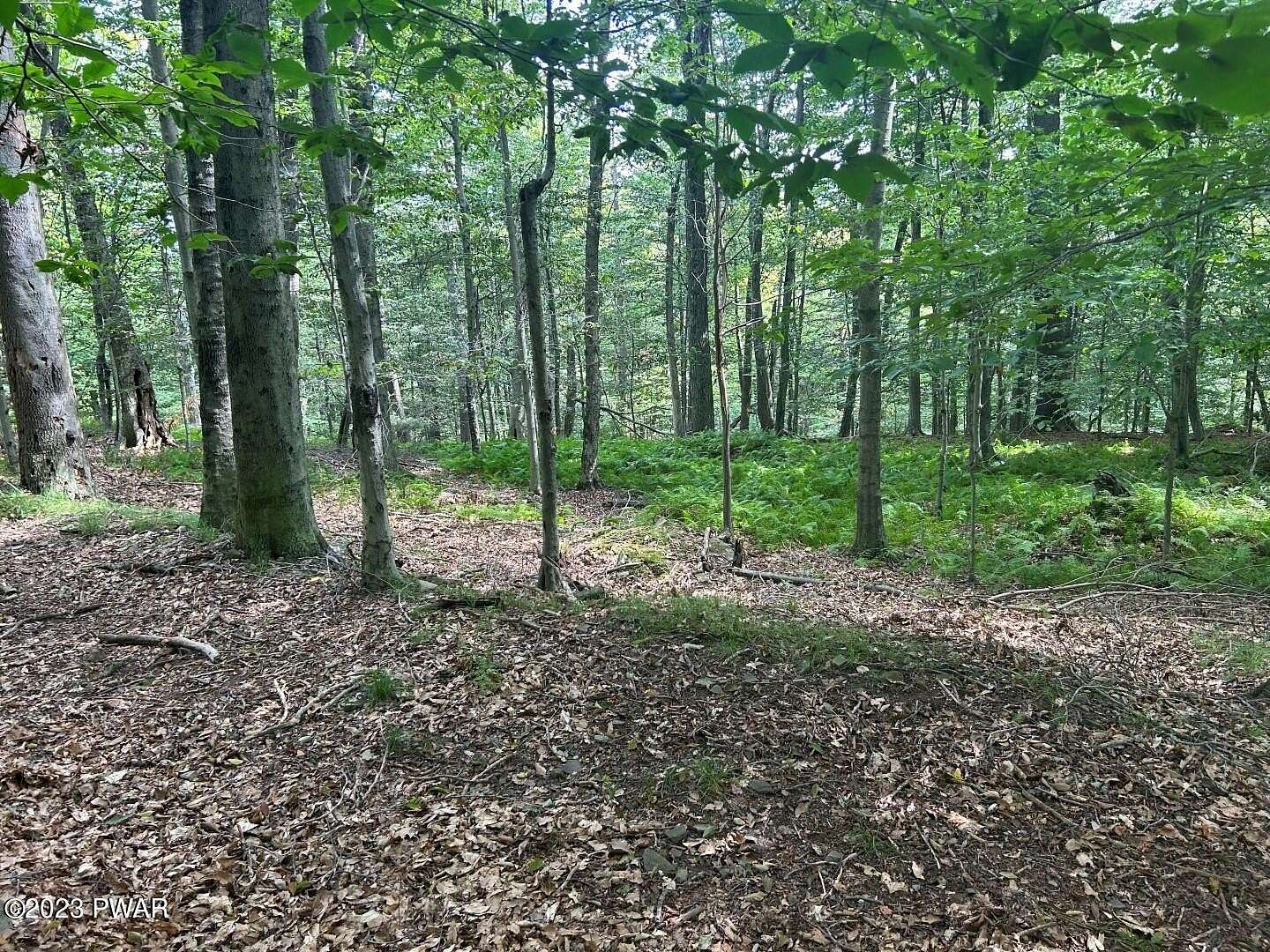 0.47 Acres of Residential Land for Sale in Greentown, Pennsylvania