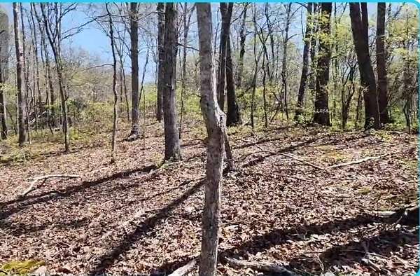 1.1 Acres of Residential Land for Sale in Sugar Tree, Tennessee