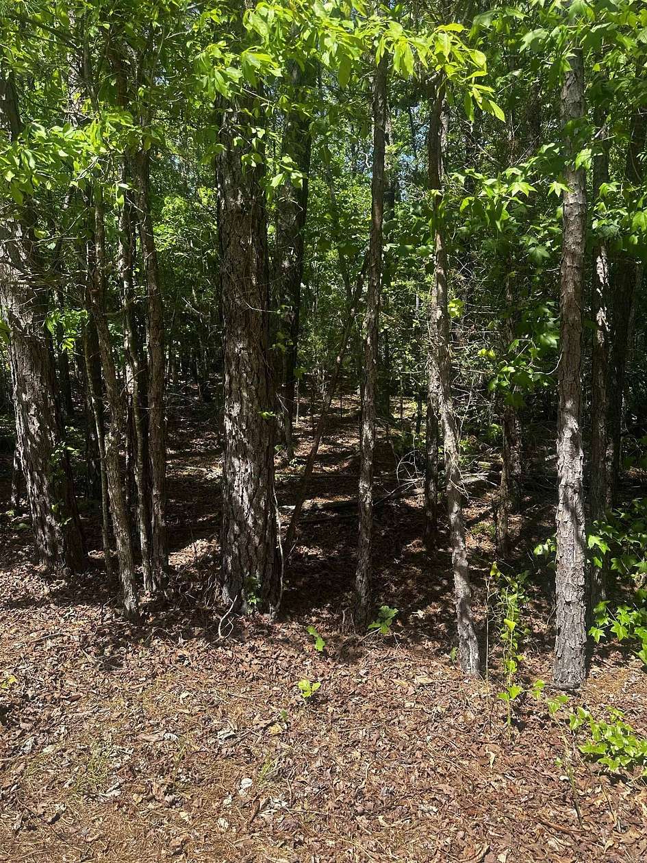 0.55 Acres of Residential Land for Sale in Hot Springs Village, Arkansas