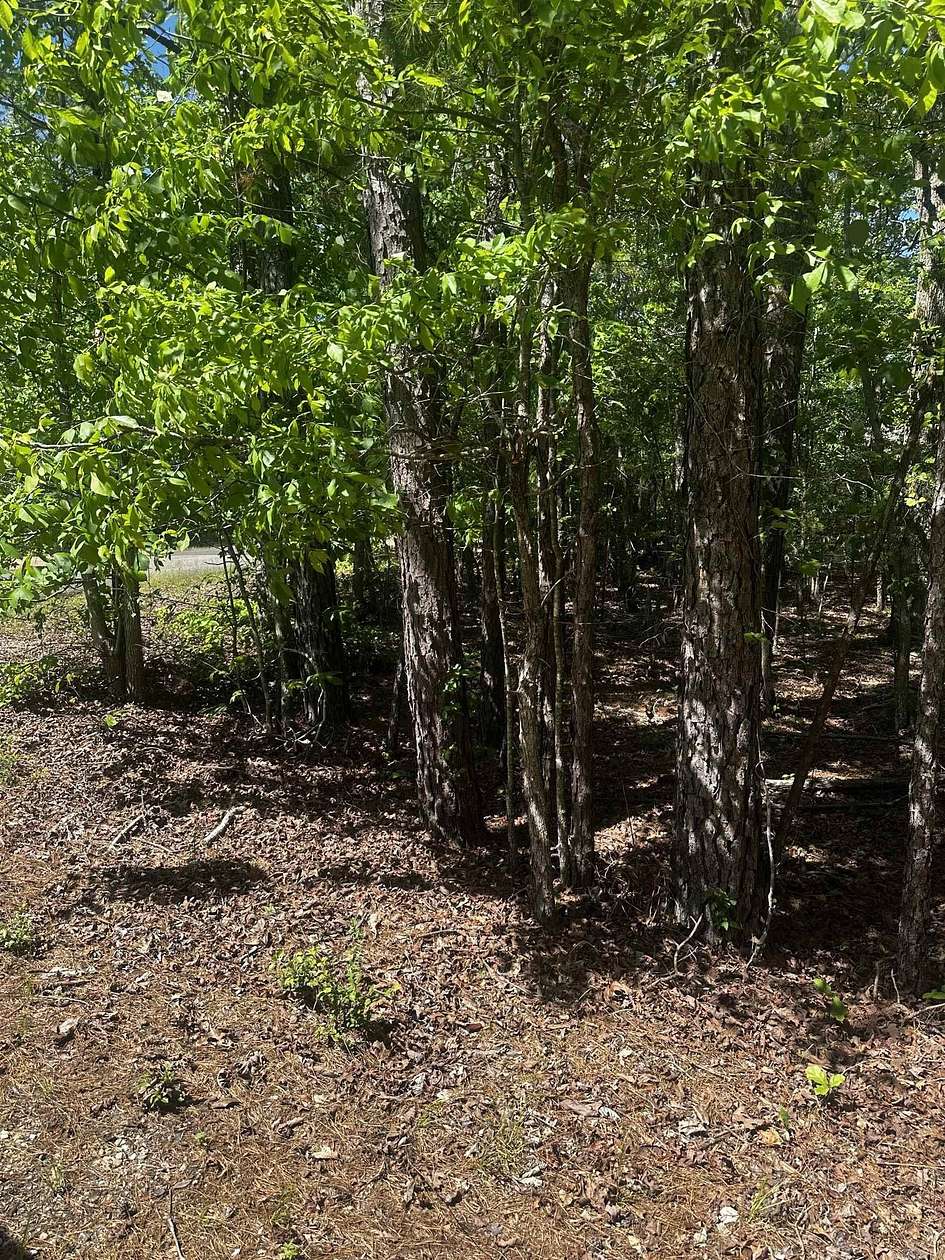 0.55 Acres of Residential Land for Sale in Hot Springs Village, Arkansas