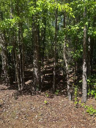 0.55 Acres of Residential Land for Sale in Hot Springs Village, Arkansas