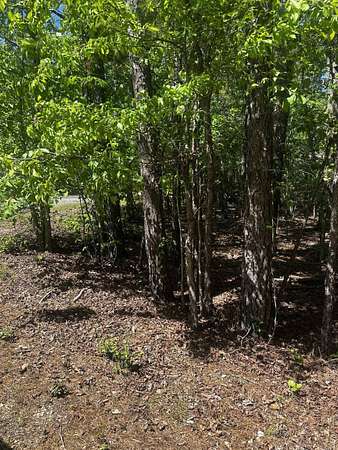 0.55 Acres of Residential Land for Sale in Hot Springs Village, Arkansas