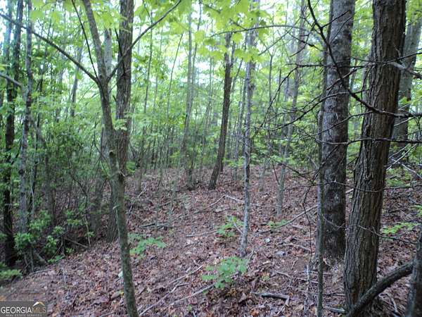 3 Acres of Land for Sale in Dillard, Georgia