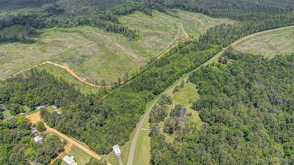 15 Acres of Agricultural Land for Sale in Georgiana, Alabama