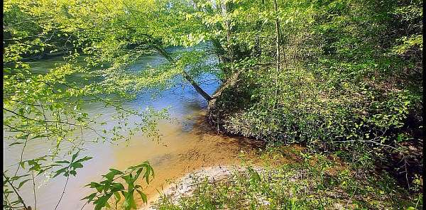 1.5 Acres of Land for Sale in Piedmont, South Carolina