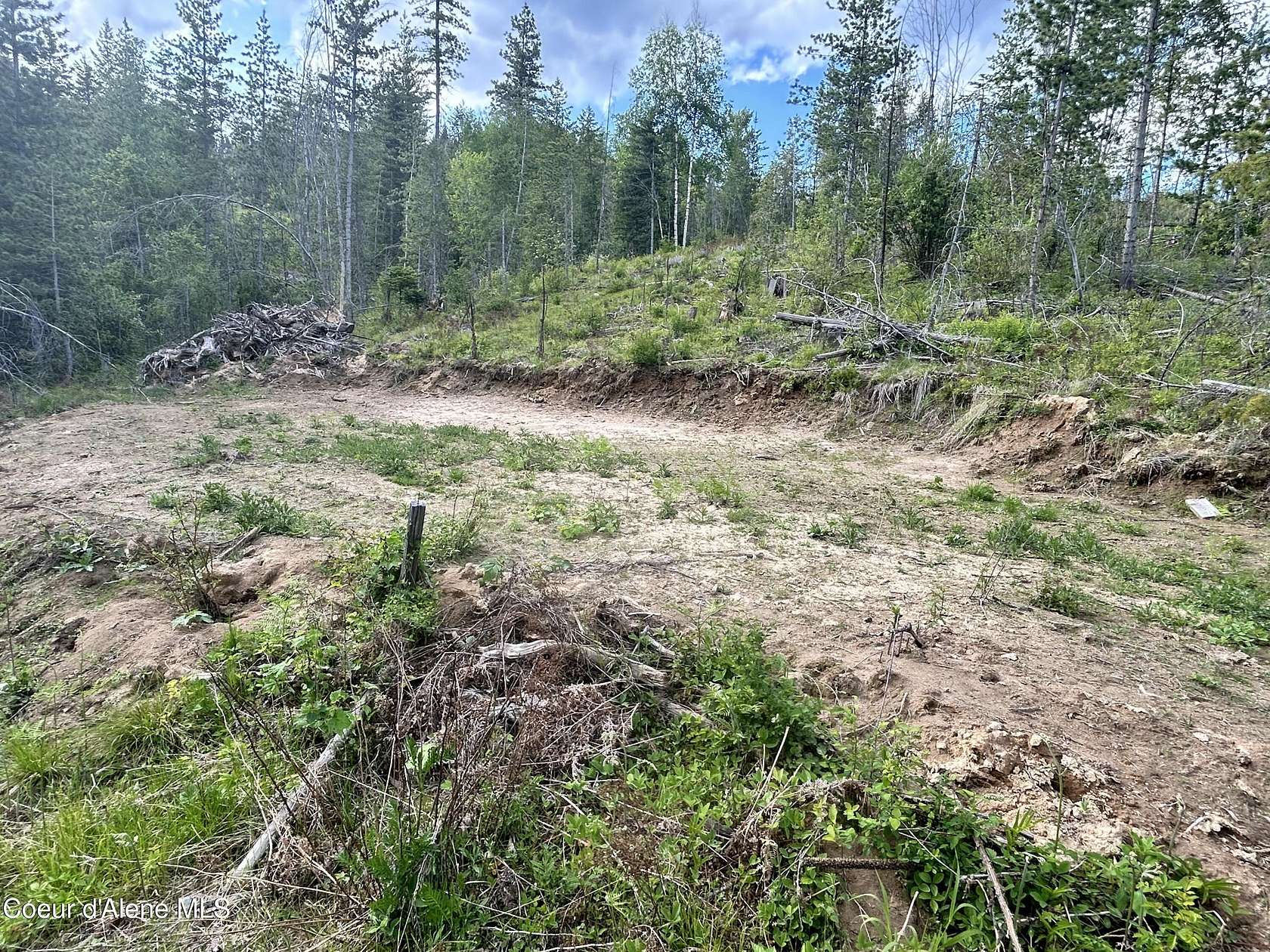 10 Acres of Land for Sale in Priest River, Idaho