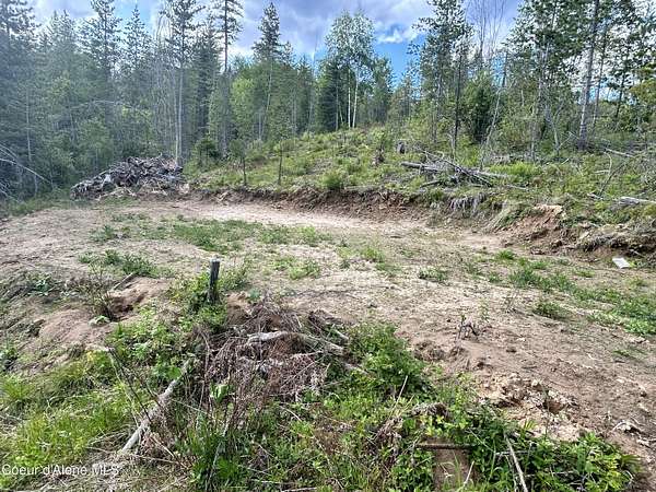 10 Acres of Land for Sale in Priest River, Idaho