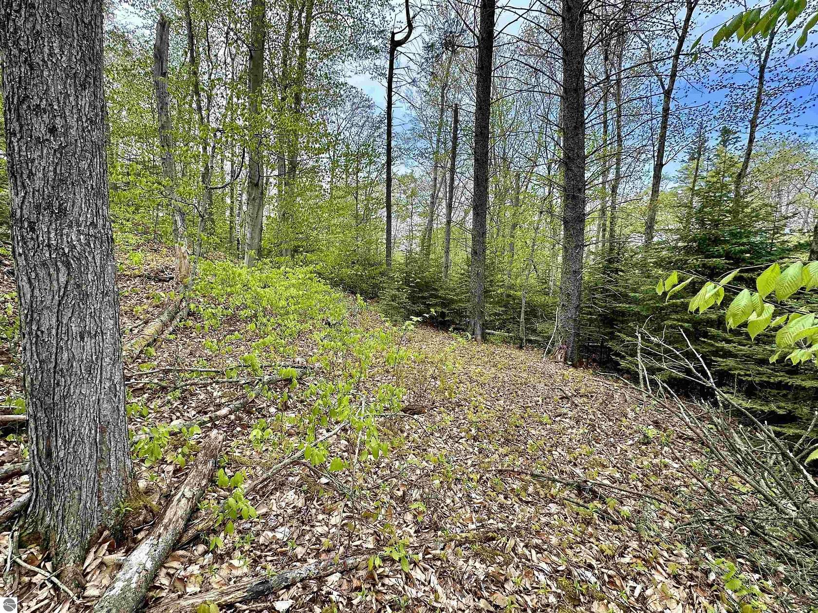 0.9 Acres of Land for Sale in Beaver Island, Michigan
