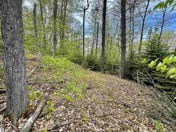 0.9 Acres of Land for Sale in Beaver Island, Michigan