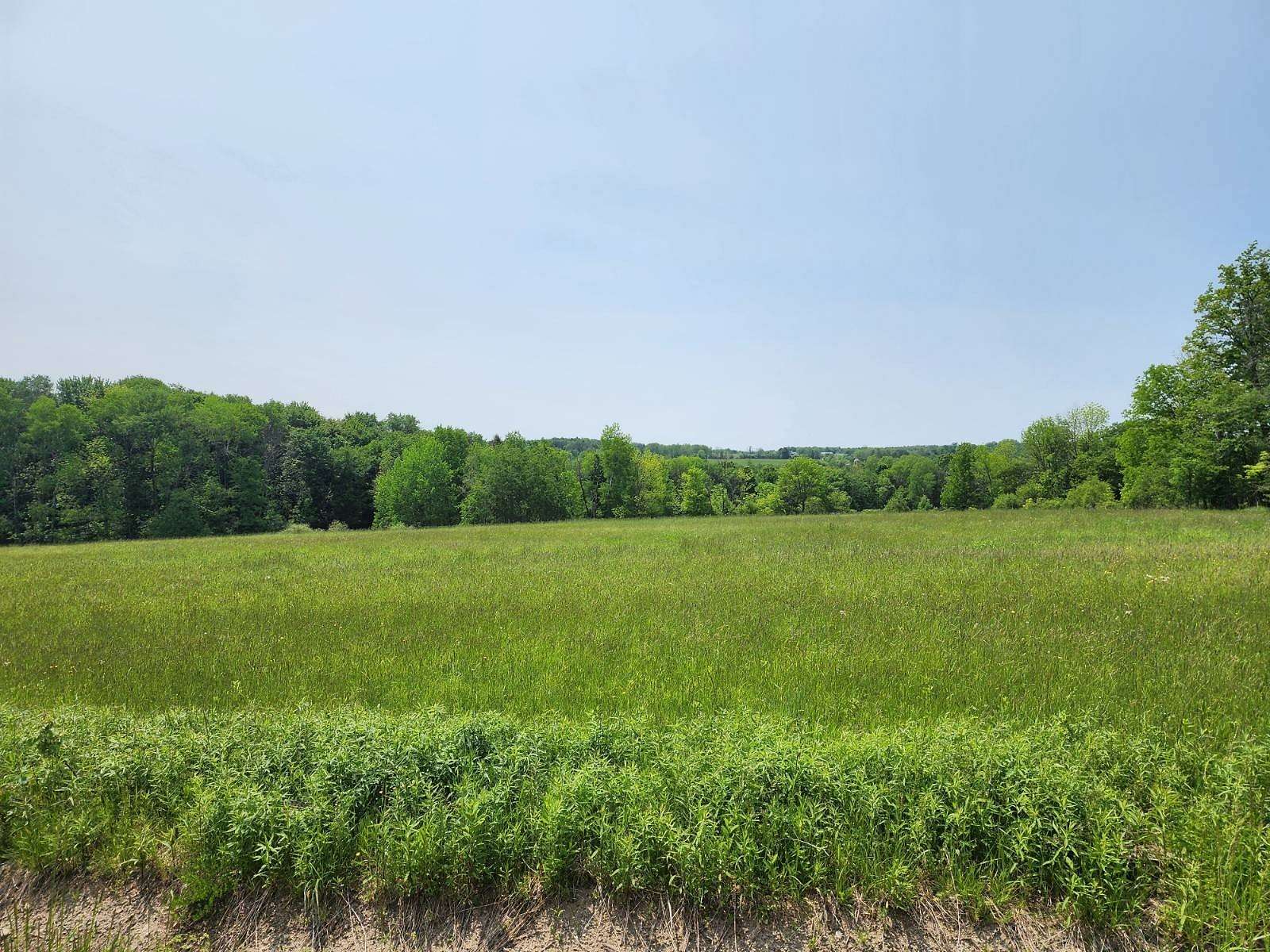 16 Acres of Land for Sale in Ripley, New York