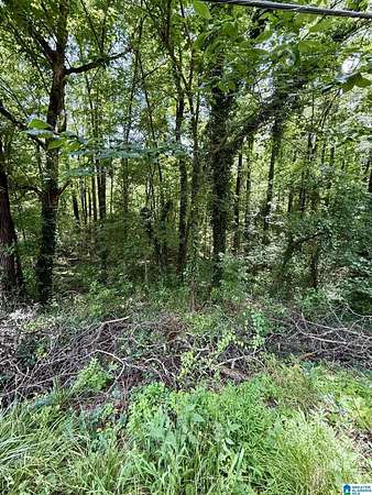 2.26 Acres of Residential Land for Sale in Leeds, Alabama