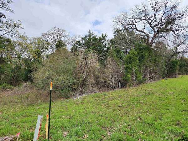 6.35 Acres of Land for Sale in Mineola, Texas