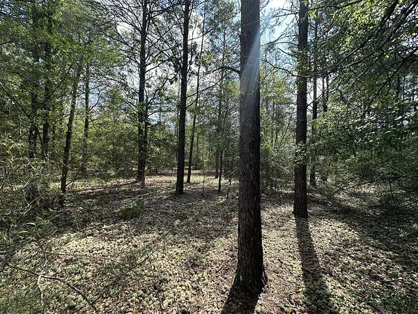 10 Acres of Recreational Land for Sale in Crestview, Florida