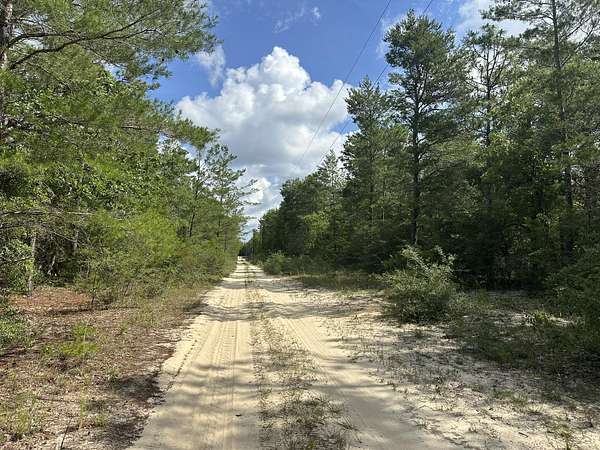20 Acres of Land for Sale in Crestview, Florida