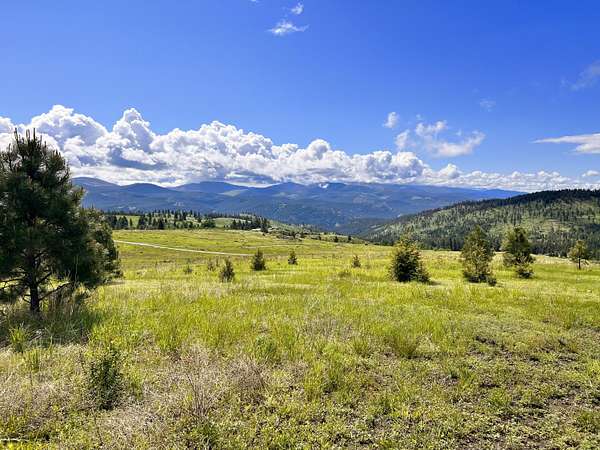 20.1 Acres of Recreational & Residential Land for Sale in Curlew, Washington