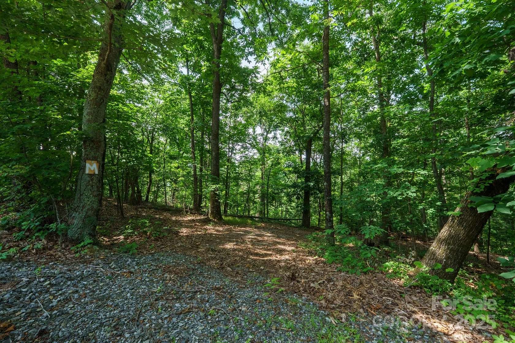 25.3 Acres of Recreational & Residential Land for Sale in Moravian Falls, North Carolina