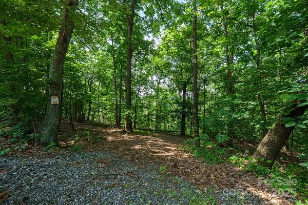 25.3 Acres of Recreational Land for Sale in Moravian Falls, North Carolina