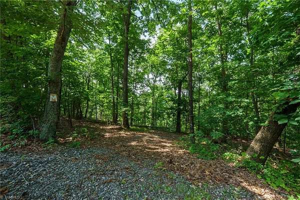 25.3 Acres of Recreational & Residential Land for Sale in Moravian Falls, North Carolina