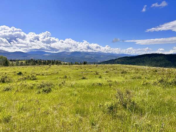 20.2 Acres of Recreational Land for Sale in Curlew, Washington